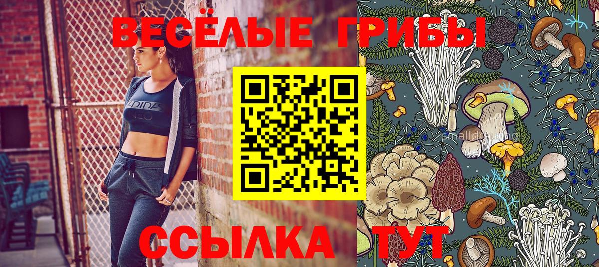 Малгобек  Псилоцибиновые грибы GOLDEN TEACHER  Вход с VPN 