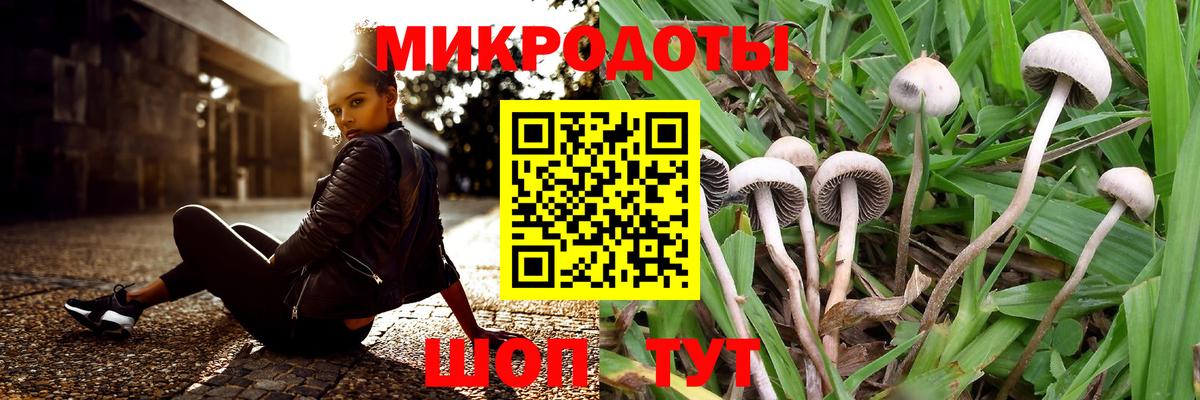 Псилоцибиновые грибы мухоморы Малгобек