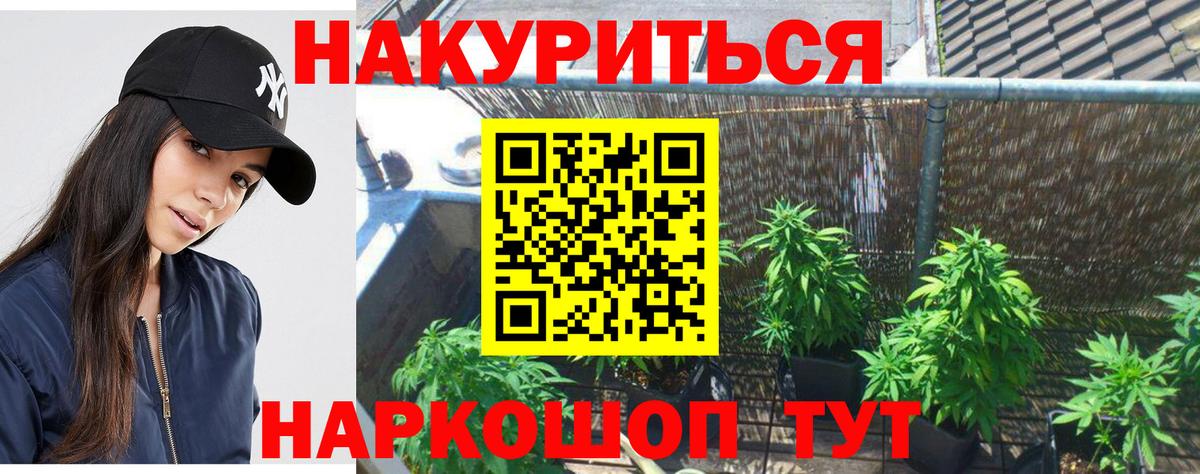 Шишки марихуана Amnesia Малгобек